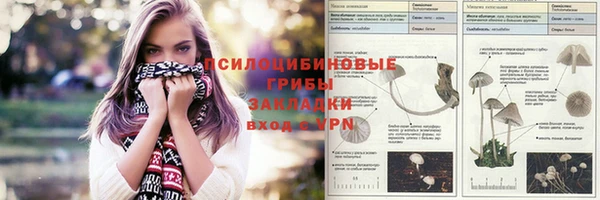 ГАЛЛЮЦИНОГЕННЫЕ ГРИБЫ Армянск