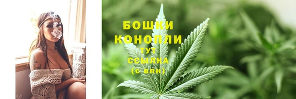 мяу мяу мука Рославль