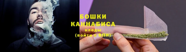 PSILOCYBIN Аркадак