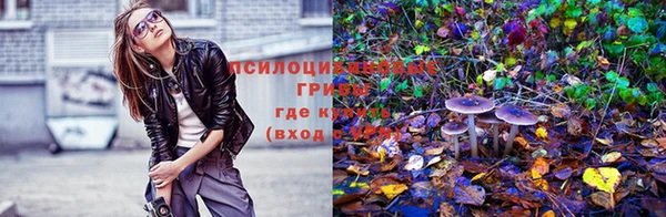 мяу мяу мука Рославль