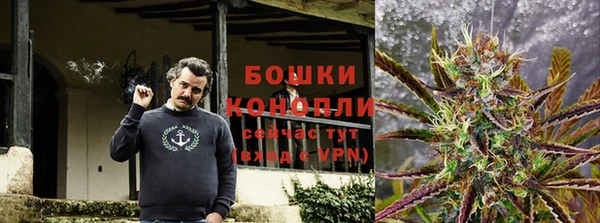 ГАЛЛЮЦИНОГЕННЫЕ ГРИБЫ Армянск