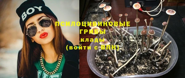 соль курить ск Арсеньев