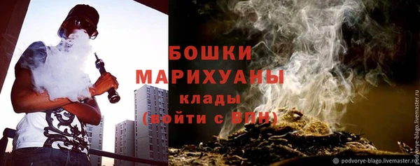 PSILOCYBIN Аркадак